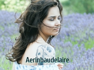 Aerinbaudelaire