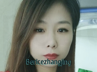 Bericezhangjing