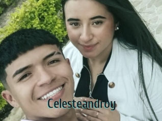 Celesteandroy