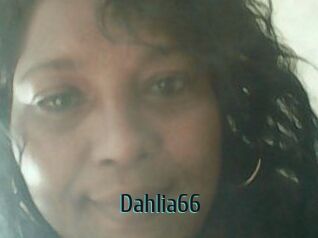 Dahlia66