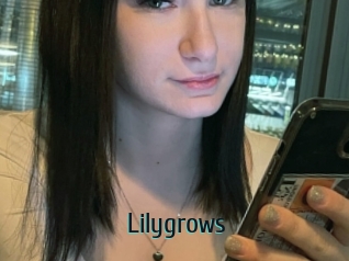 Lilygrows