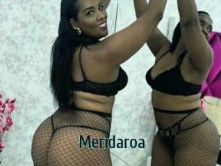 Meridaroa