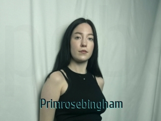 Primrosebingham