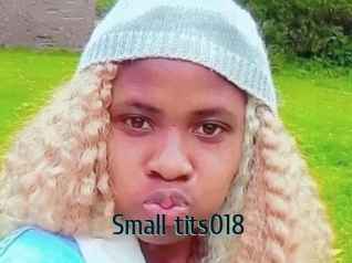 Small_tits018